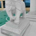 安庆 白麻花岗岩动物异形石雕-大象